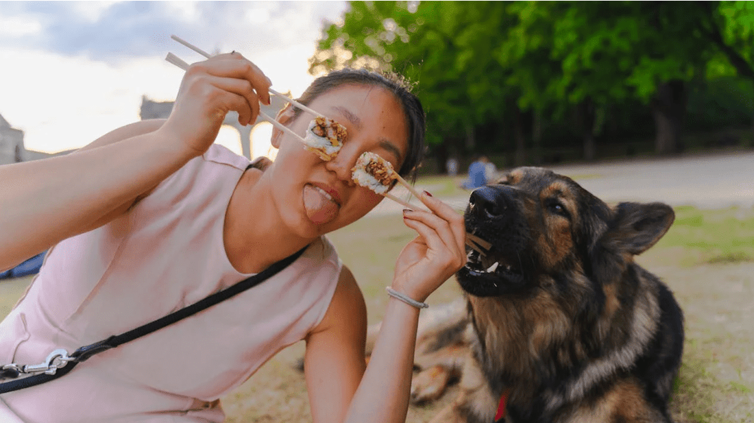 5 Homemade Treat Recipes for Dogs You Can Make Today