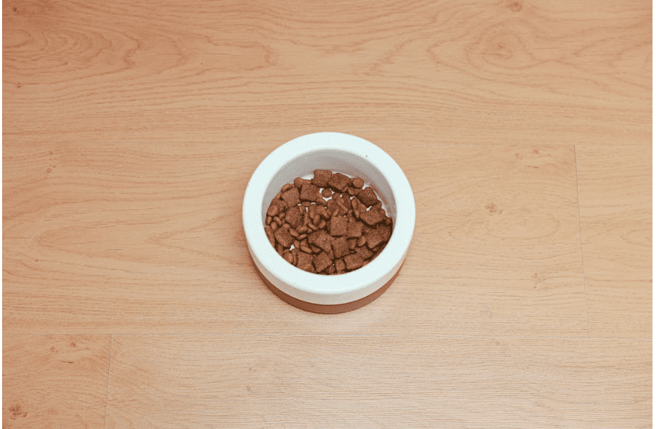 How to Choose the Right Treats to Complement Your Dog’s Diet?