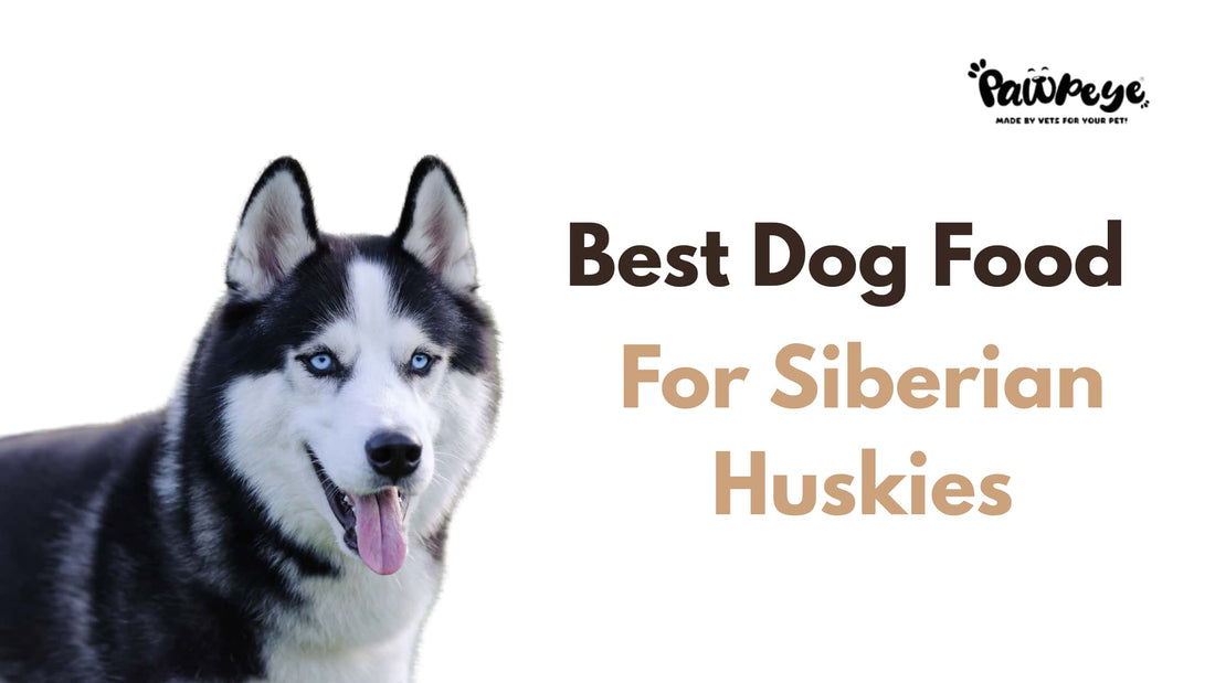 Best Dog Food for Siberian Huskies