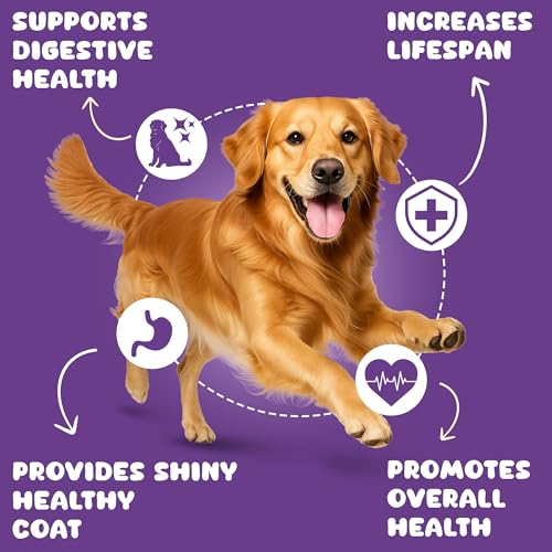 Pawpeye Wet Dog Food Monthly Box(Pack of 30)-Lamb & Blueberry Flavour | 100g each | for Adult Dogs & Puppies | Vet-Formulated, Human-Grade, Grain & Preservative-Free, 100% Natural