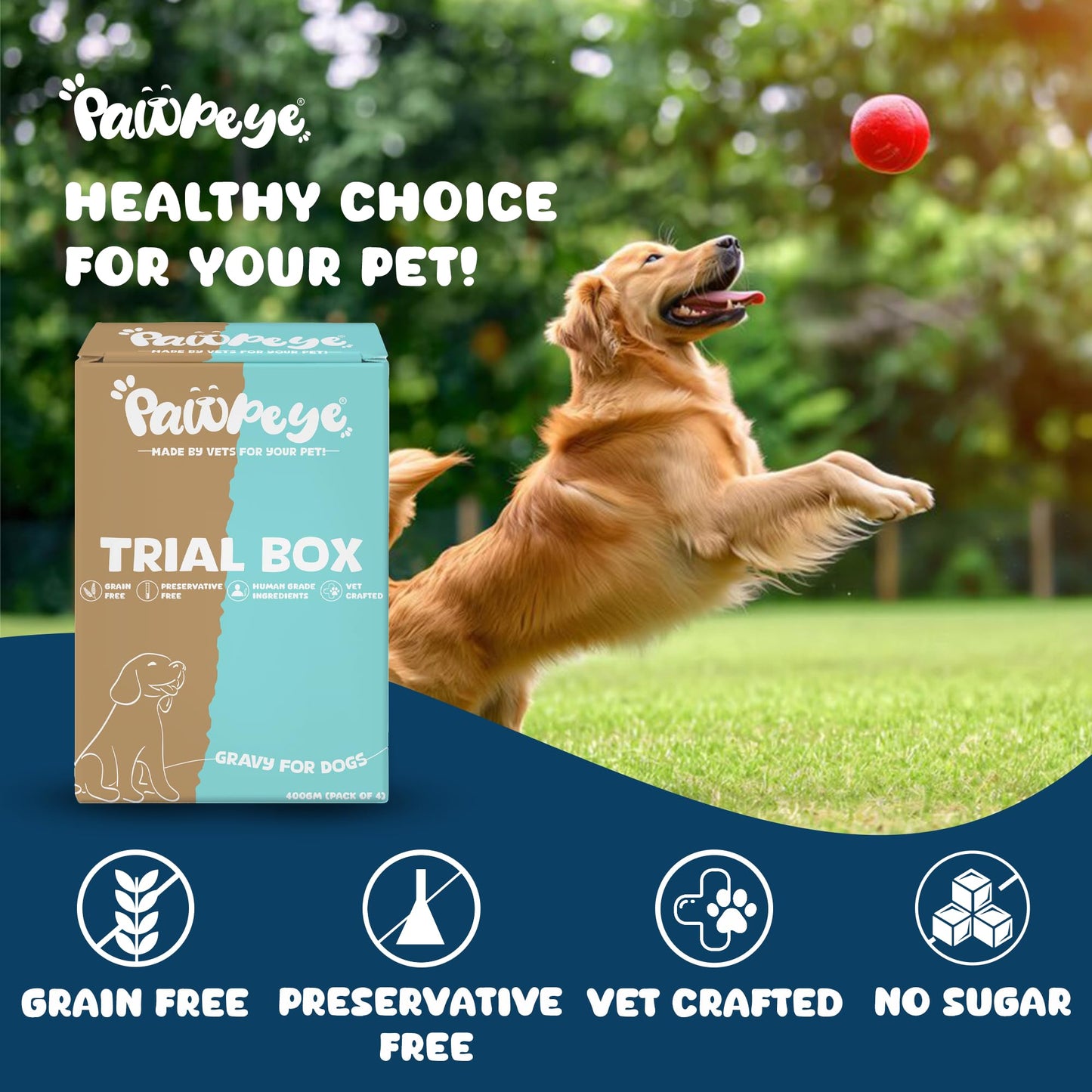 Pawpeye Wet Dog Food Trial Box | 4 x 100g (2 Flavours – Chicken & Lamb) | Gravy for Adult Dogs | Vet-Formulated, Human-Grade, Grain-Free, Preservative-Free, 100% Natural