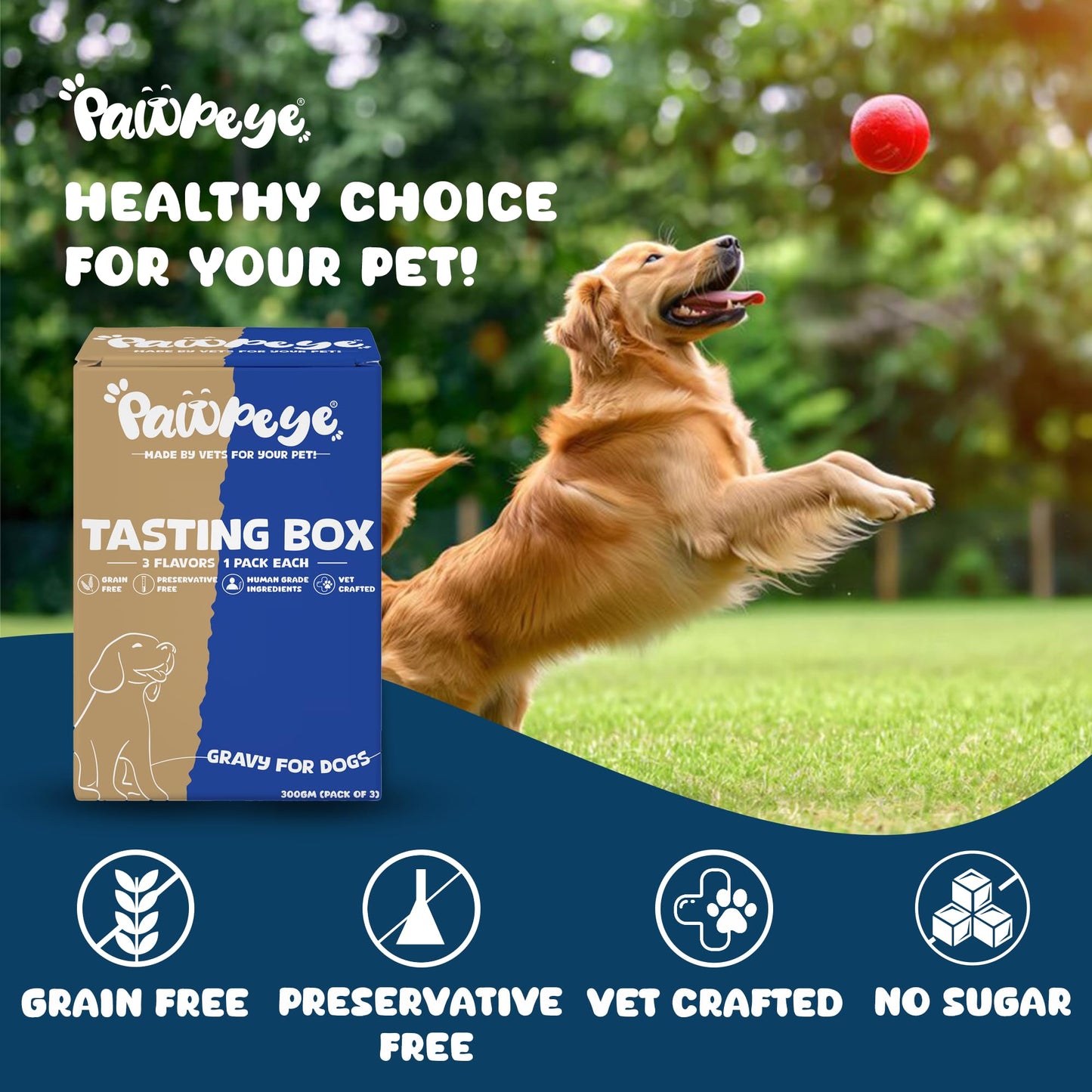 Pawpeye Wet Dog Food Combo Boxes (3 Flavours–Chicken, Lamb, Pineapple) | 100g Each | Premium Gravy Meal for Adult Dogs | Vet Formulated, Human-Grade, Grain-Free, Preservative-Free