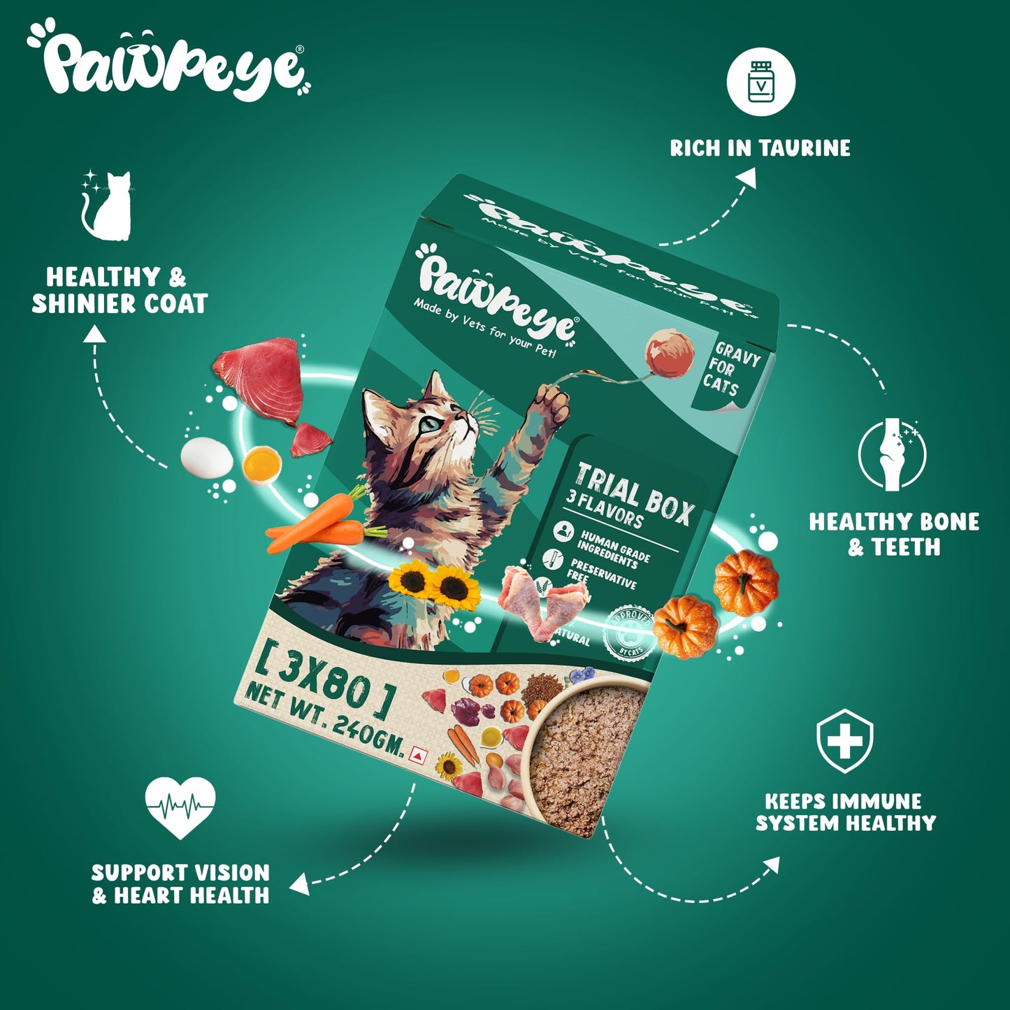 Trial Box Cat Wet Food Adult & Kitten - 3 Flavors -Pack of 3 (240g, 80g Each)- Grain Free, No Preservatives, No fillers | Pawpeye, Tasty Yet Healthy Wet Cat Food, Made by Vets Even for Fussy Eaters