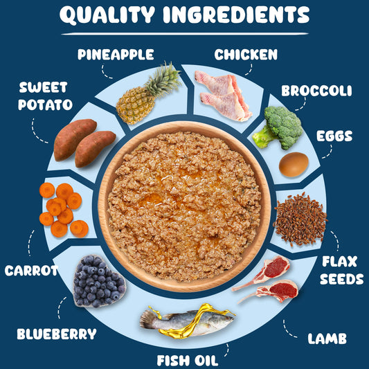 Pawpeye Wet Dog Food Combo Boxes (3 Flavours–Chicken, Lamb, Pineapple) | 100g Each | Premium Gravy Meal for Adult Dogs | Vet Formulated, Human-Grade, Grain-Free, Preservative-Free