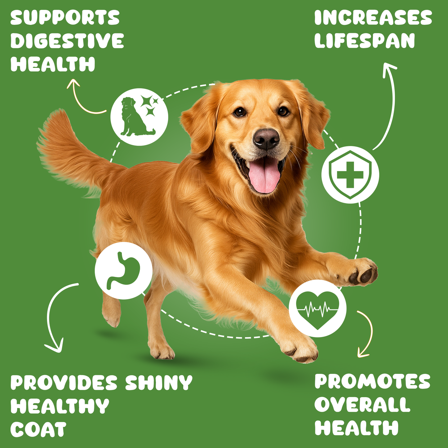 Pawpeye Gravy for Dogs - Chicken & Broccoli Flavour - Weekly Box & Monthly Box - Premium Wet Food for Dog