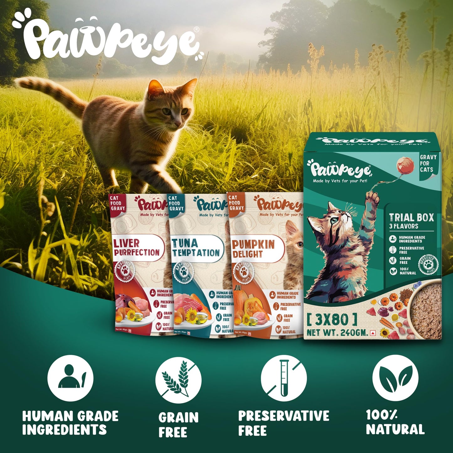 Trial Box Cat Wet Food Adult & Kitten - 3 Flavors -Pack of 3 (240g, 80g Each)- Grain Free, No Preservatives, No fillers | Pawpeye, Tasty Yet Healthy Wet Cat Food, Made by Vets Even for Fussy Eaters