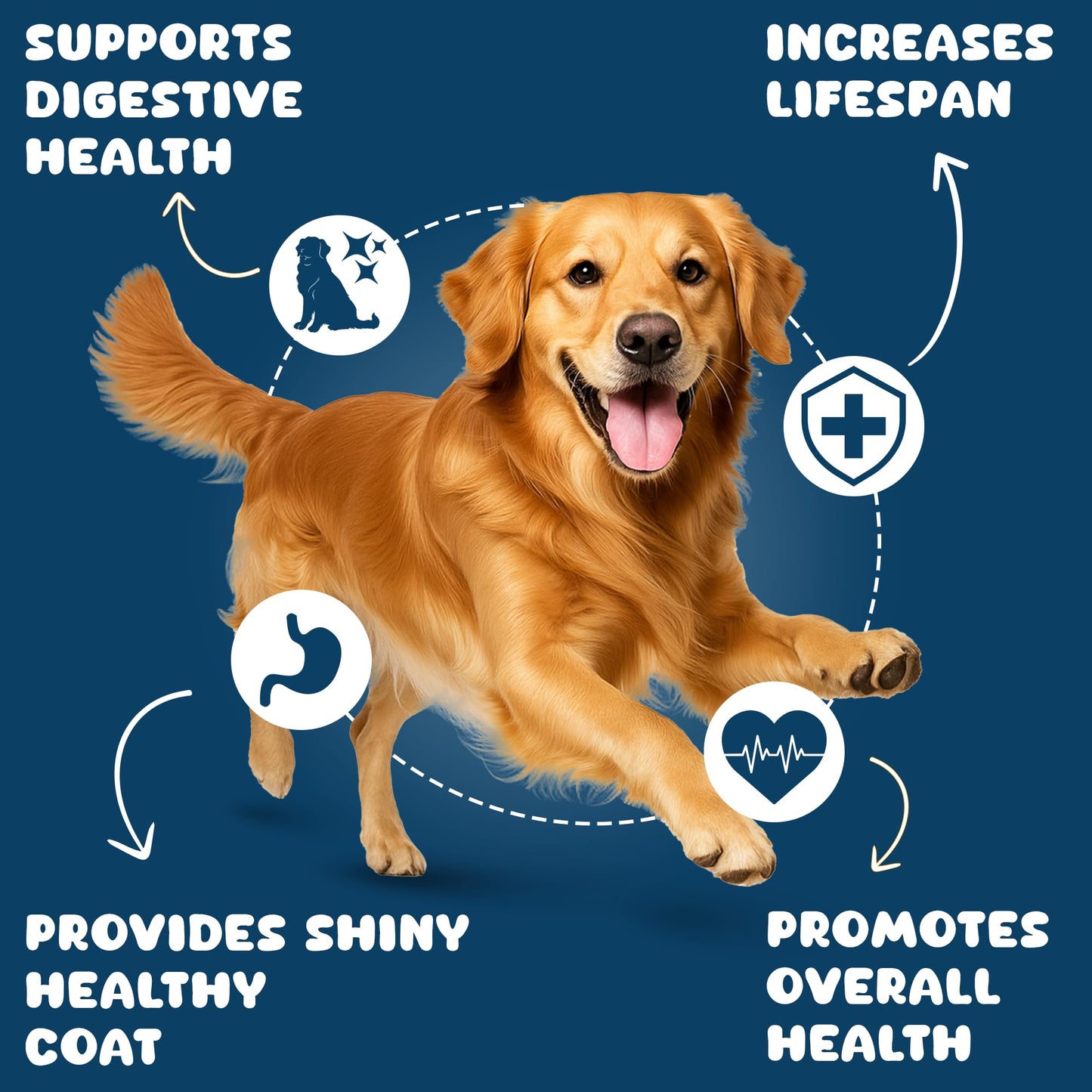 Pawpeye Wet Dog Food Combo Boxes (3 Flavours–Chicken, Lamb, Pineapple) | 100g Each | Premium Gravy Meal for Adult Dogs | Vet Formulated, Human-Grade, Grain-Free, Preservative-Free