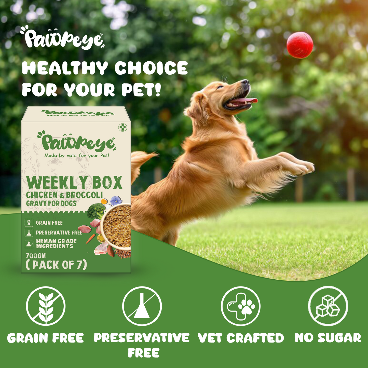 Pawpeye Gravy for Dogs - Chicken & Broccoli Flavour - Weekly Box & Monthly Box - Premium Wet Food for Dog