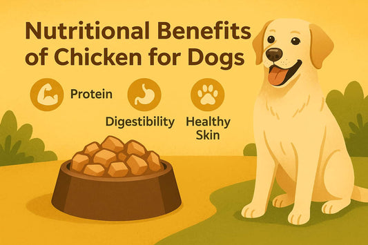 Benefits of Chicken in Dog Food