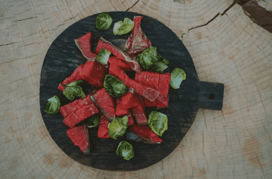 What is raw dog food?