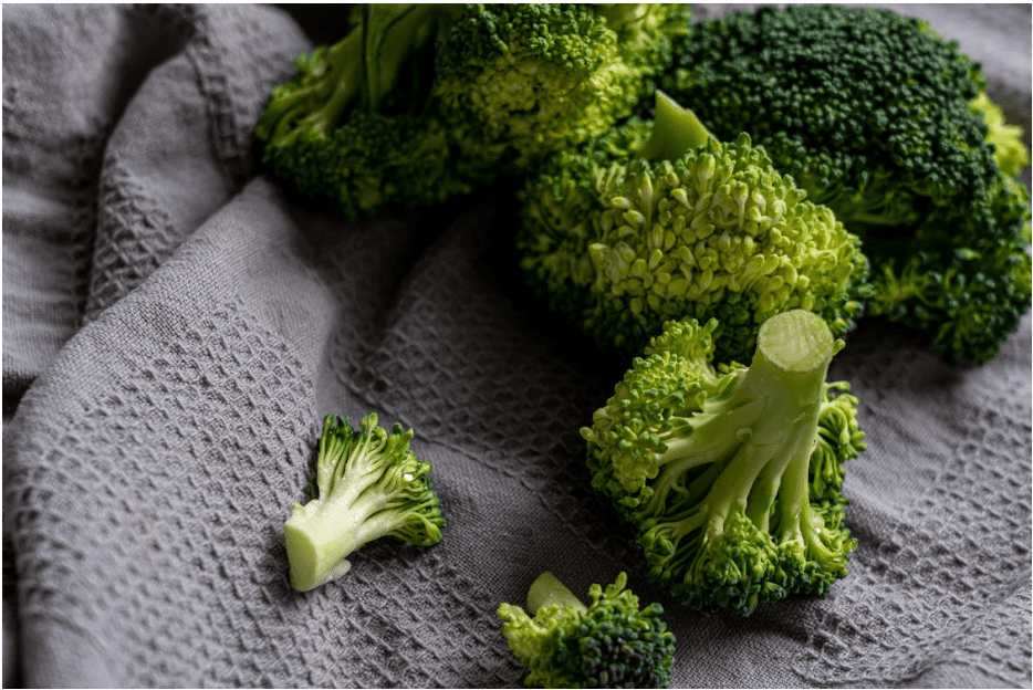 How to Safely Include Broccoli in Your Dog’s Diet?