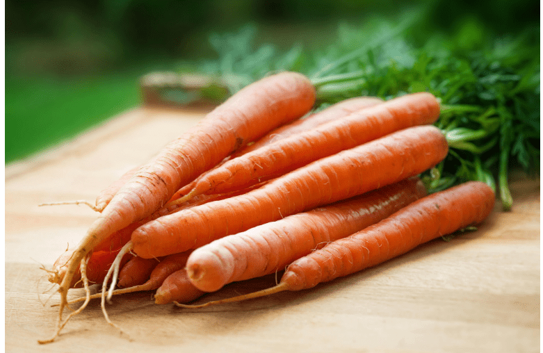 Raw vs. Cooked Carrots - Which is Better for Your Dog?