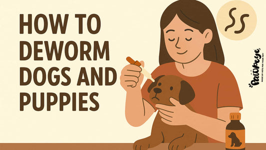 How to Deworm Dogs and Puppies? (Vet-Approved Guide for 2025)