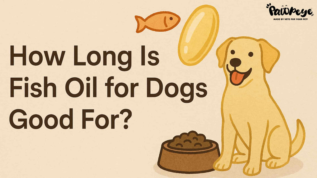 How long is fish oil for dogs good for?