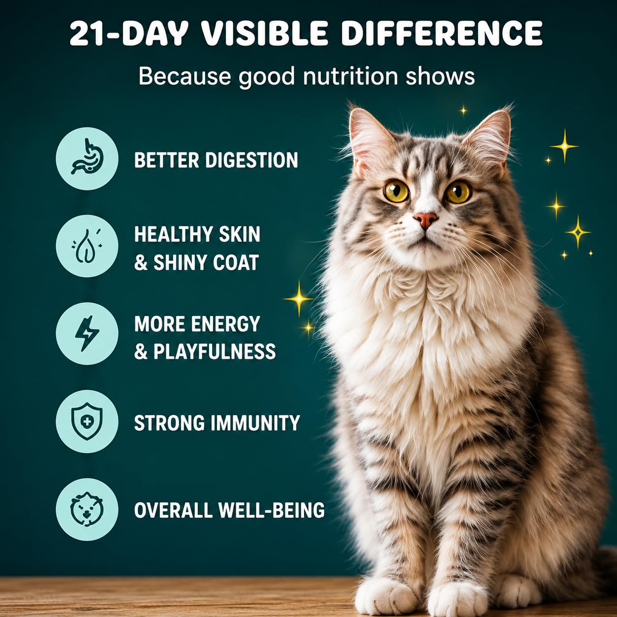 Trial Box Cat Wet Food Adult & Kitten - 3 Flavors | Pack of 3