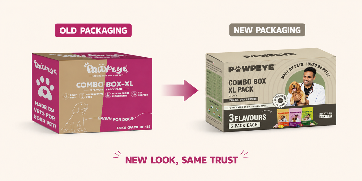 Wet Dog Food Combo Box-XL | 15 Pouches (5 x 3 Flavours – Chicken, Lamb, Pineapple) | 100g Each | Premium Gravy Meal for Adult Dogs | Vet Formulated, Human-Grade, Grain-Free, Preservative-Free