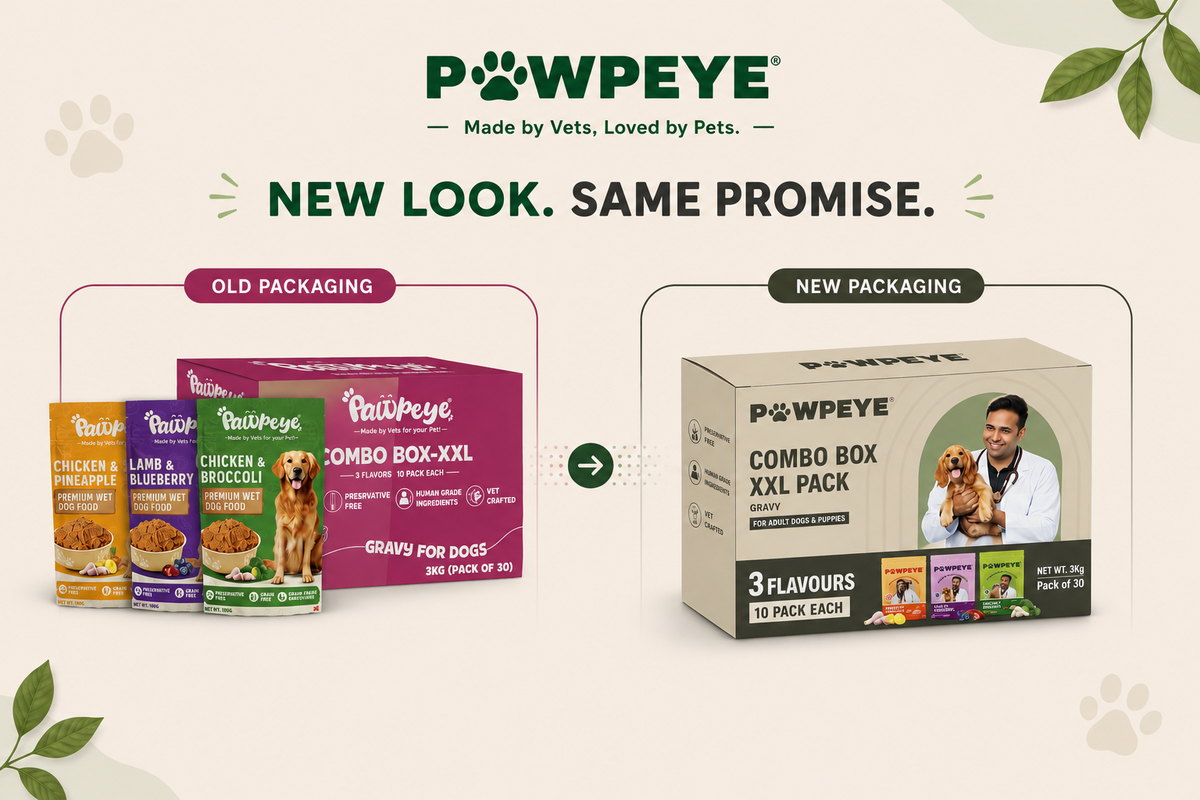 Wet Dog Food Combo Box-XXL | 30 Pouches (10 x 3 Flavours–Chicken, Lamb, Pineapple) | 100g Each | Premium Gravy Meal for Adult Dogs | Vet Formulated, Human-Grade, Grain-Free, Preservative-Free