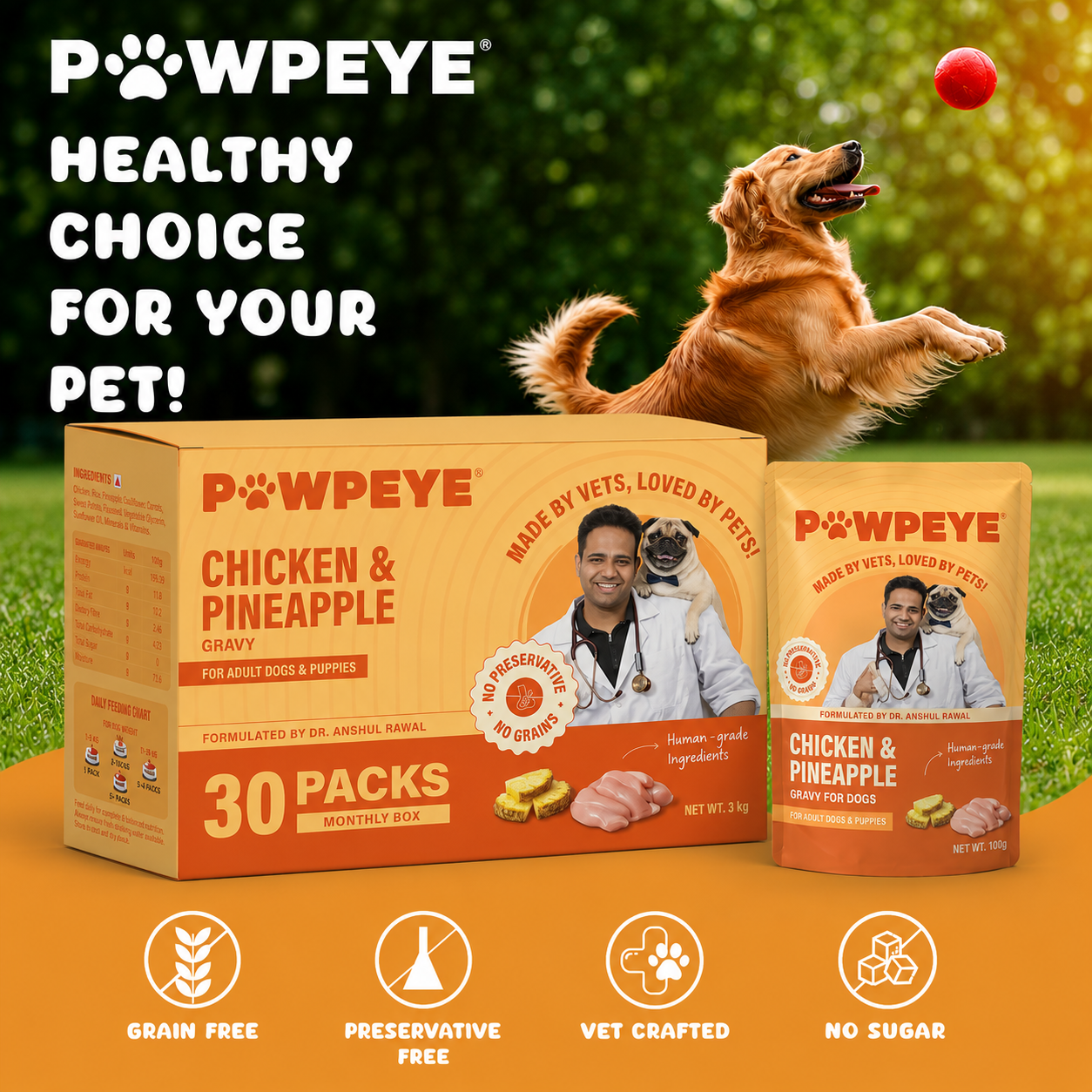 Dog Food Wet - Monthly Box (30 Packs of 100 G) Chicken & Pineapple Flavour - Healthy Balanced Gravy Dog Food Adult & Puppy - Human Grade, No Preservatives, Gluten, or Grain |Best Dog Gravy