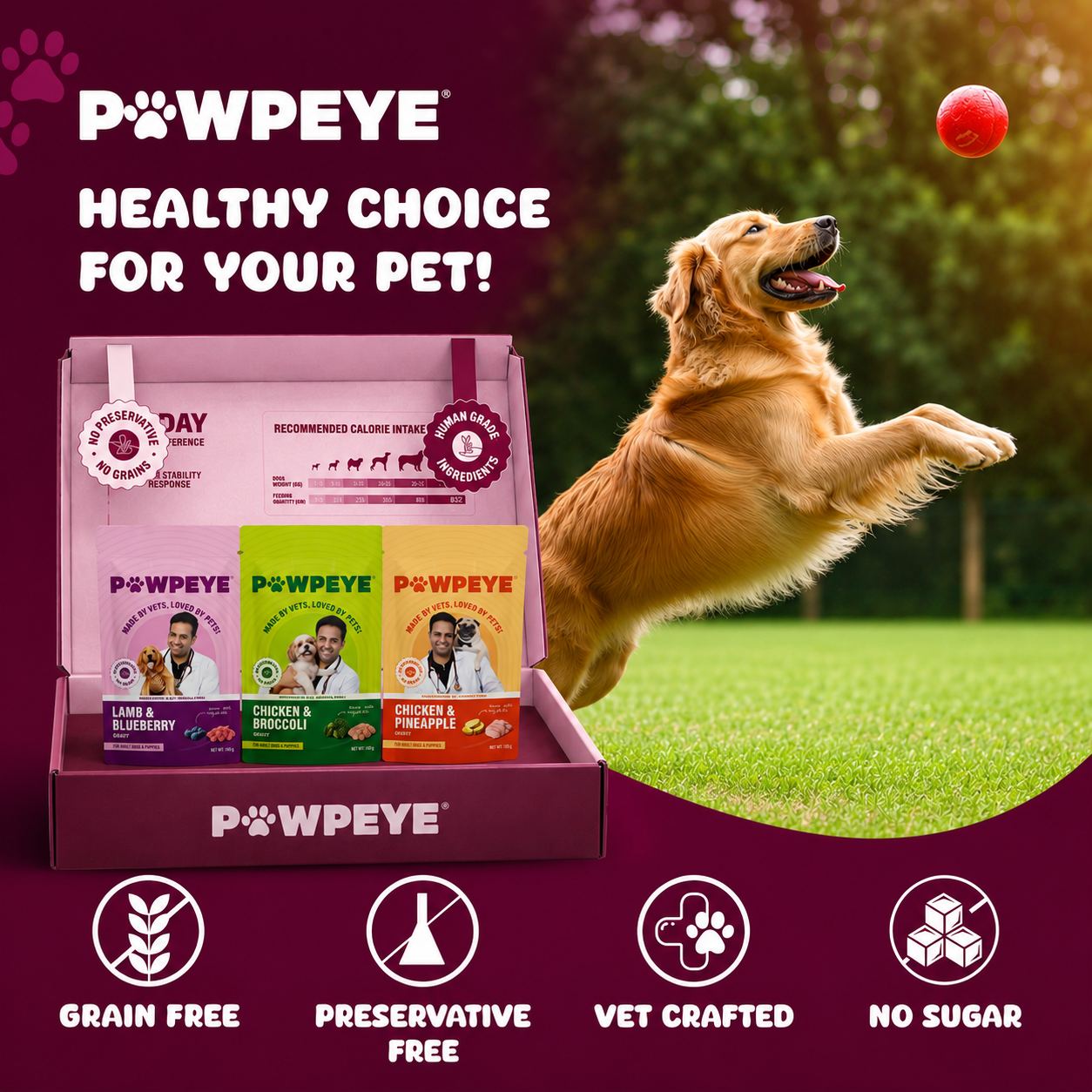 Wet Dog Food Trial Box | 3 x 100g