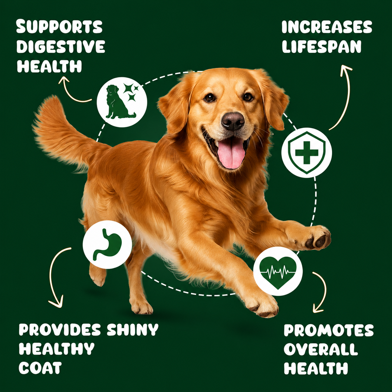 Wet Dog Food Weekly Box-Chicken & Broccoli Flavour | 7 Packs x 100g, 700g | for Adult Dogs & Puppies | Vet-Formulated, Human-Grade, Grain & Preservative-Free, 100% Natural