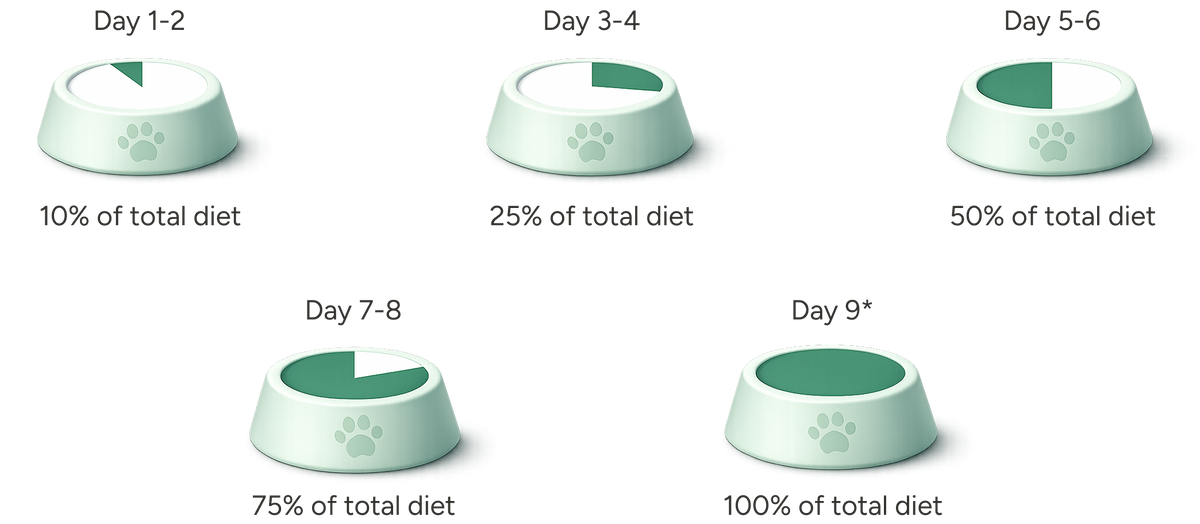Feeding Guidelines