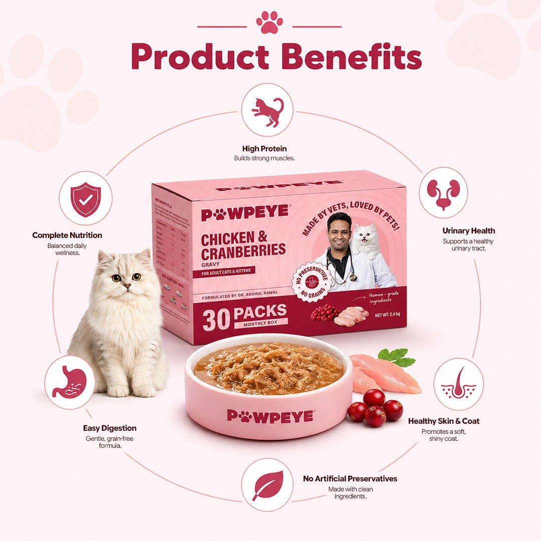 Chicken & Cranberries Cat Gravy