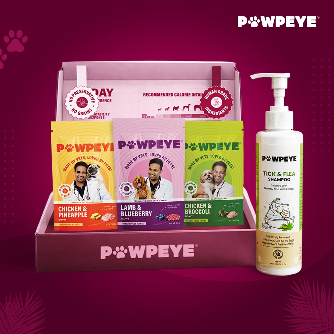 Pawpeye Care Combo – Trial Box + Shampoo