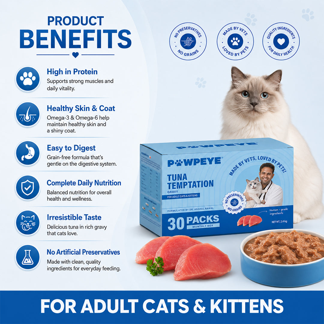 Tuna Temptation Cat Gravy