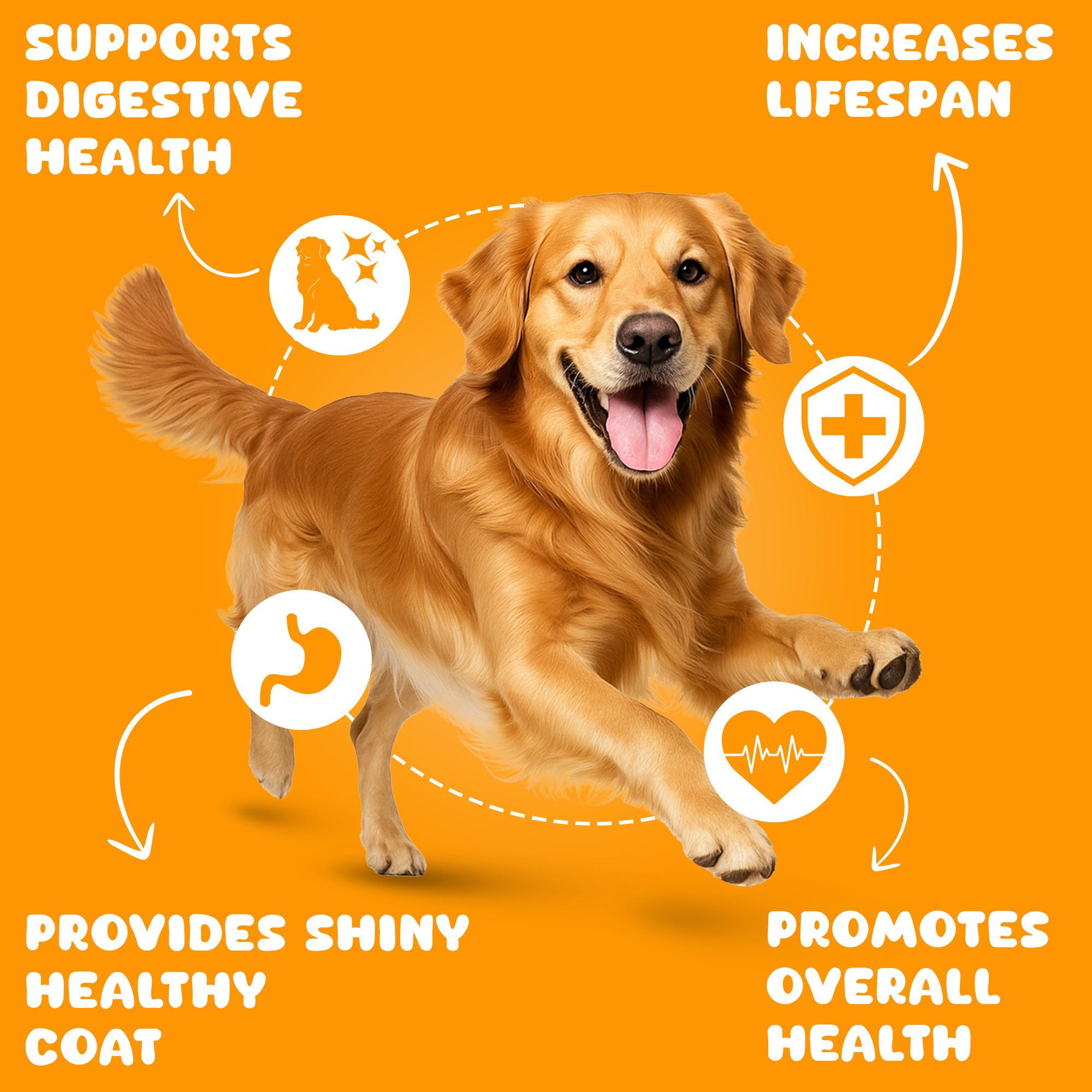 Dog Food Wet - Monthly Box (30 Packs of 100 G) Chicken & Pineapple Flavour - Healthy Balanced Gravy Dog Food Adult & Puppy - Human Grade, No Preservatives, Gluten, or Grain |Best Dog Gravy