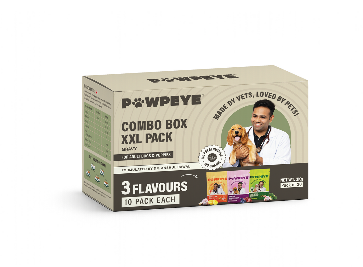Wet Dog Food Combo Box-XXL | 30 Pouches (10 x 3 Flavours–Chicken, Lamb, Pineapple) | 100g Each | Premium Gravy Meal for Adult Dogs | Vet Formulated, Human-Grade, Grain-Free, Preservative-Free