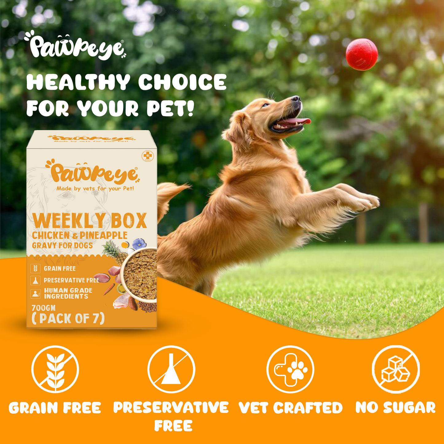 Pawpeye Gravy for Dogs - Chicken & Pineapple Flavour - Weekly Box & Monthly Box - Premium Wet Food for Dog