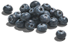 Blueberries