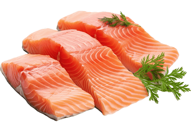 Salmon