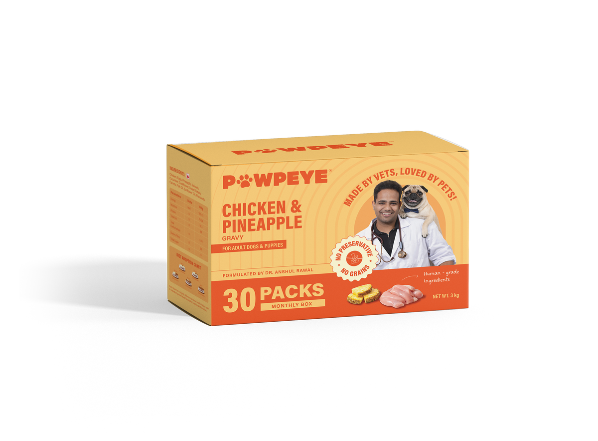 Chicken & Pineapple Wet Dog Food