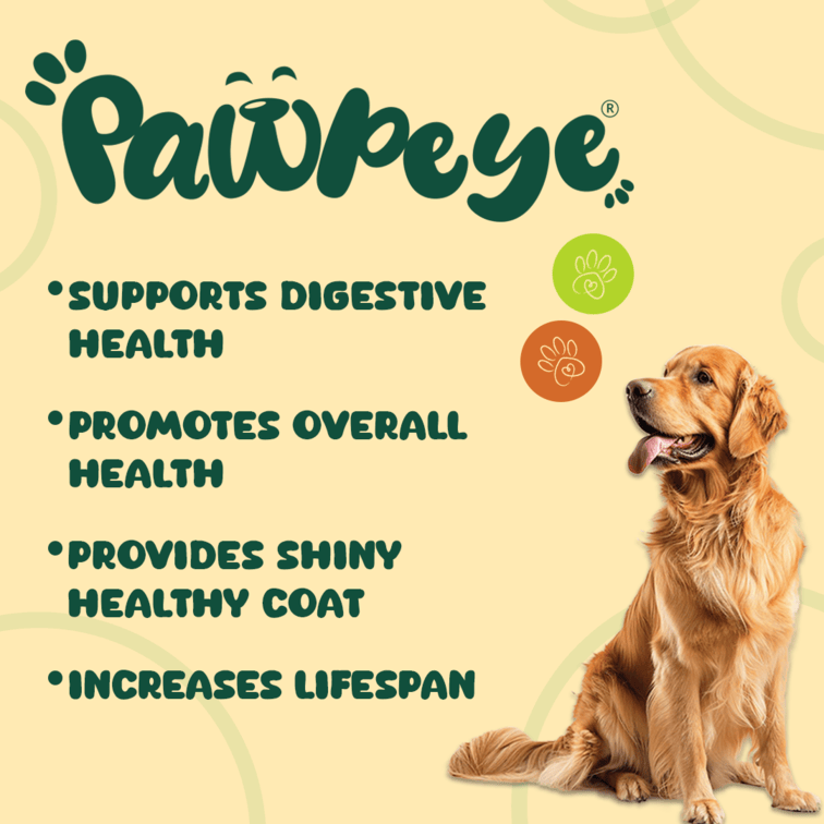 Pawpeye Gravy for Dogs - Chicken & Broccoli Flavour - Monthly Box (30 packs) - Premium Wet Food for Dog