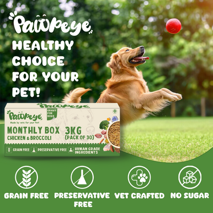 Pawpeye Gravy for Dogs - Chicken & Broccoli Flavour - Weekly Box & Monthly Box - Premium Wet Food for Dog